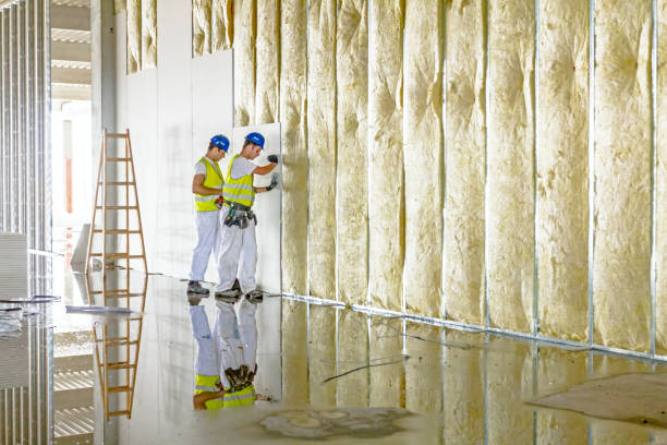 Best Eco-Friendly Insulation in Vassar College, NY